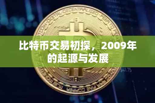 比特币交易初探，2009年的起源与发展