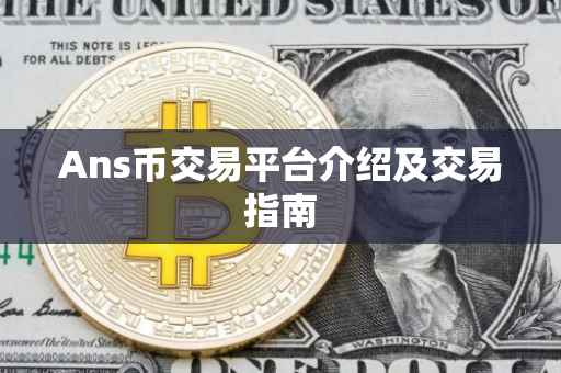 Ans币交易平台介绍及交易指南