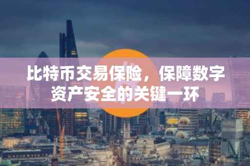 比特币交易保险，保障数字资产安全的关键一环