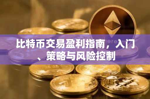 比特币交易盈利指南，入门、策略与风险控制