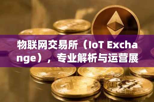 物联网交易所（IoT Exchange），专业解析与运营展望