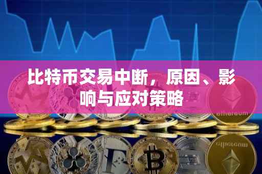 比特币交易中断，原因、影响与应对策略