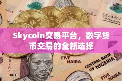 Skycoin交易平台，数字货币交易的全新选择