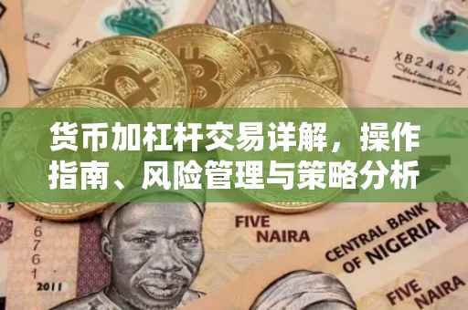 货币加杠杆交易详解，操作指南、风险管理与策略分析