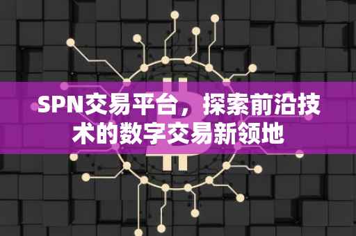 SPN交易平台，探索前沿技术的数字交易新领地