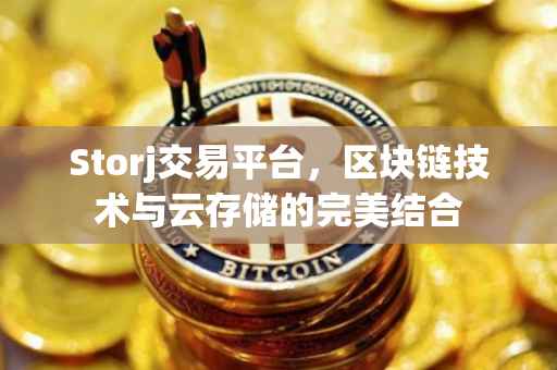 Storj交易平台，区块链技术与云存储的完美结合