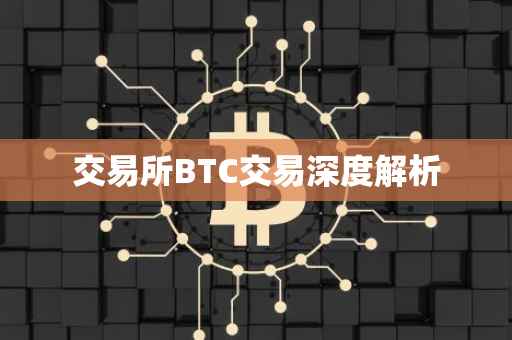交易所BTC交易深度解析