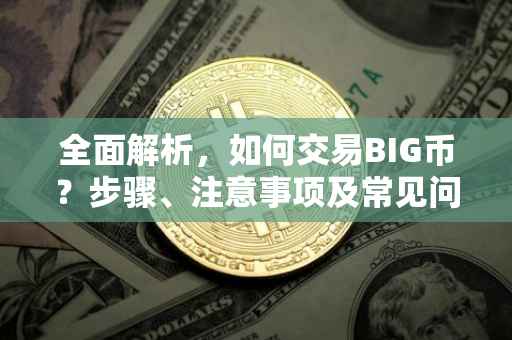 全面解析，如何交易BIG币？步骤、注意事项及常见问题解答