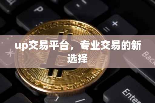 up交易平台，专业交易的新选择