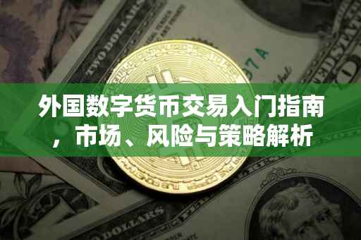 外国数字货币交易入门指南，市场、风险与策略解析