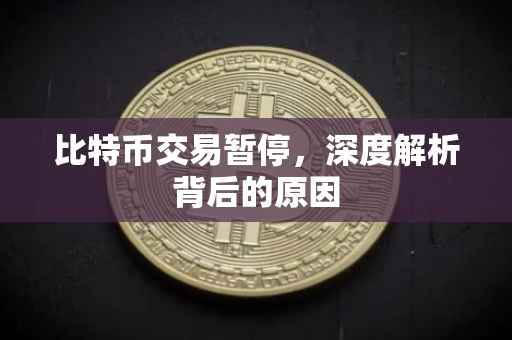 比特币交易暂停，深度解析背后的原因
