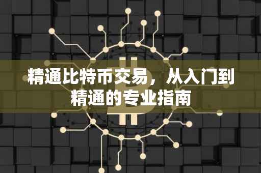 精通比特币交易，从入门到精通的专业指南