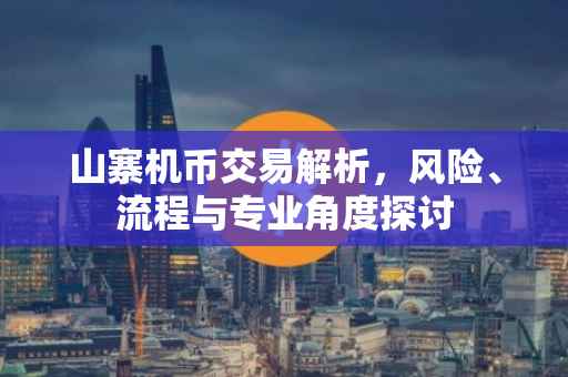 山寨机币交易解析，风险、流程与专业角度探讨