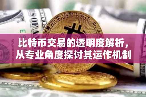 比特币交易的透明度解析，从专业角度探讨其运作机制