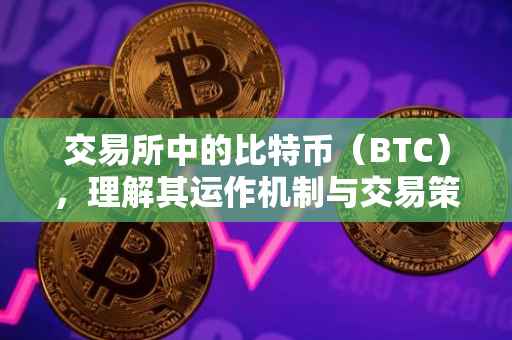 交易所中的比特币（BTC），理解其运作机制与交易策略