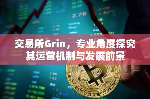 交易所Grin，专业角度探究其运营机制与发展前景