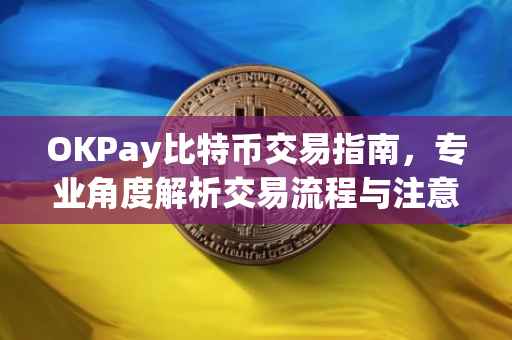 OKPay比特币交易指南，专业角度解析交易流程与注意事项