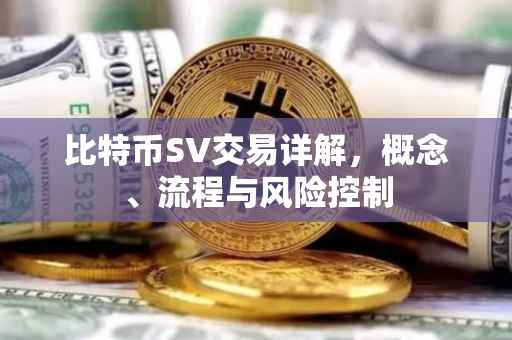 比特币SV交易详解，概念、流程与风险控制