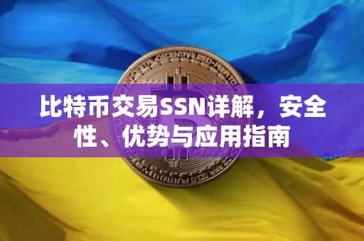 比特币交易SSN详解，安全性、优势与应用指南