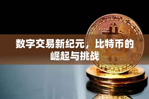 数字交易新纪元，比特币的崛起与挑战