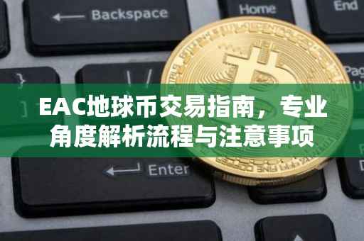 EAC地球币交易指南，专业角度解析流程与注意事项