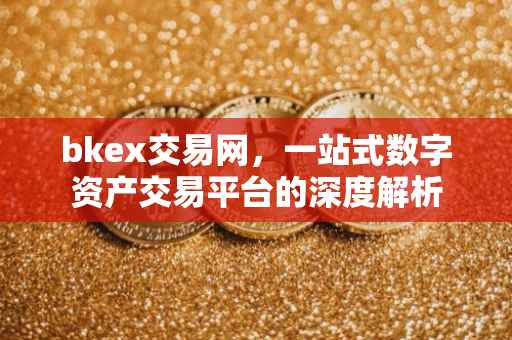 bkex交易网，一站式数字资产交易平台的深度解析