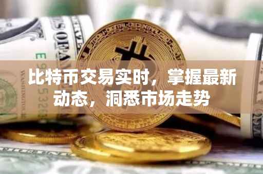 比特币交易实时，掌握最新动态，洞悉市场走势
