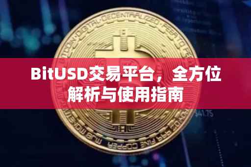 BitUSD交易平台，全方位解析与使用指南