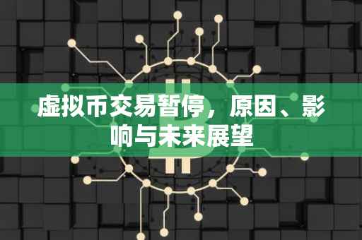 虚拟币交易暂停,原因、影响与未来展望