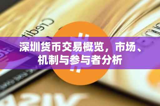 深圳货币交易概览，市场、机制与参与者分析