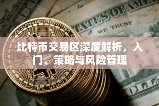 比特币交易区深度解析，入门、策略与风险管理