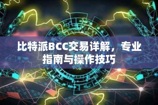 比特派BCC交易详解，专业指南与操作技巧