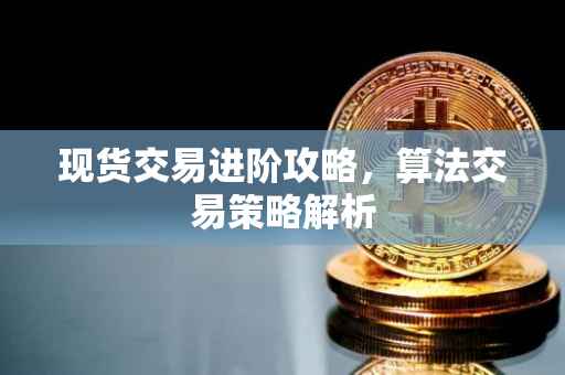 现货交易进阶攻略，算法交易策略解析