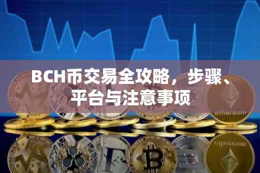 BCH币交易全攻略，步骤、平台与注意事项