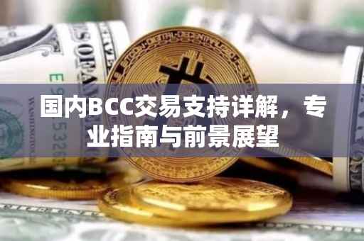 国内BCC交易支持详解，专业指南与前景展望