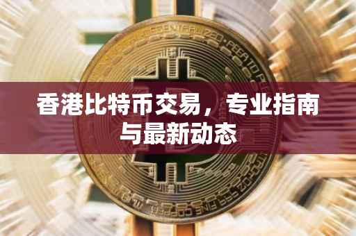 香港比特币交易，专业指南与最新动态