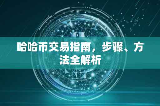 哈哈币交易指南，步骤、方法全解析