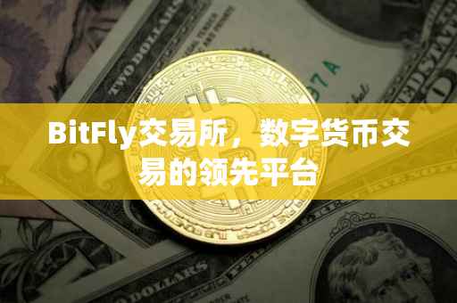 BitFly交易所，数字货币交易的领先平台