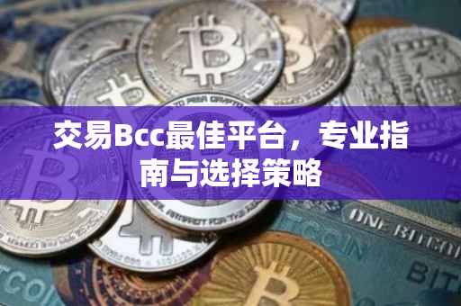 交易Bcc最佳平台，专业指南与选择策略