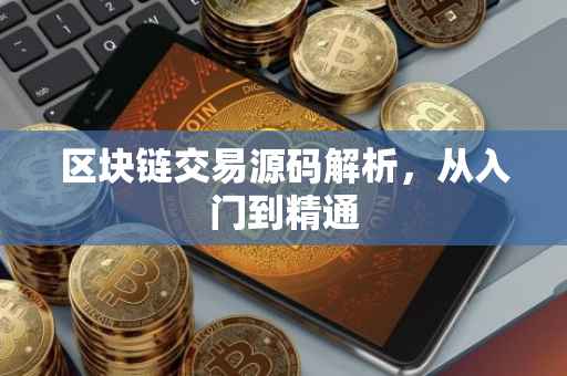 区块链交易源码解析，从入门到精通