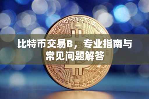 比特币交易B，专业指南与常见问题解答