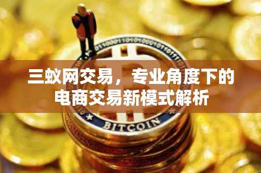 三蚁网交易，专业角度下的电商交易新模式解析