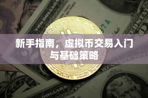 新手指南，虚拟币交易入门与基础策略