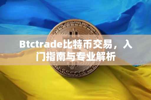 Btctrade比特币交易，入门指南与专业解析
