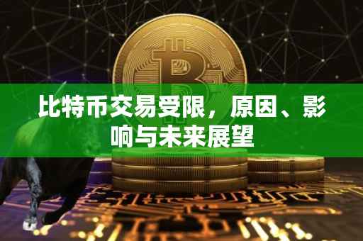 比特币交易受限,原因、影响与未来展望