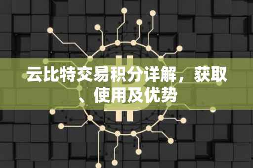 云比特交易积分详解，获取、使用及优势