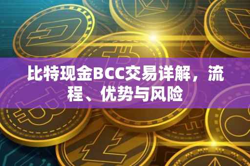比特现金BCC交易详解,流程、优势与风险