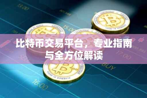 比特币交易平台，专业指南与全方位解读