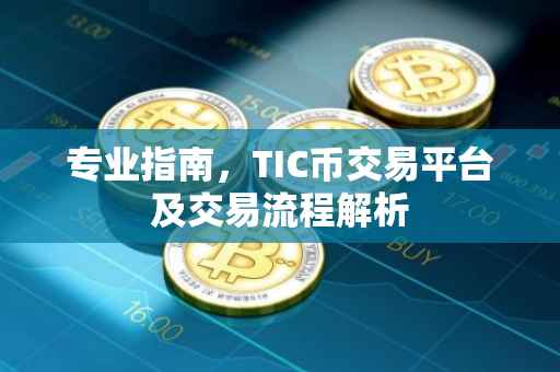 专业指南,TIC币交易平台及交易流程解析
