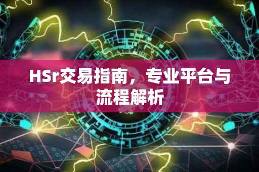 HSr交易指南，专业平台与流程解析